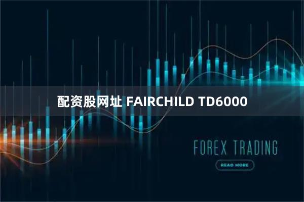 配资股网址 FAIRCHILD TD6000
